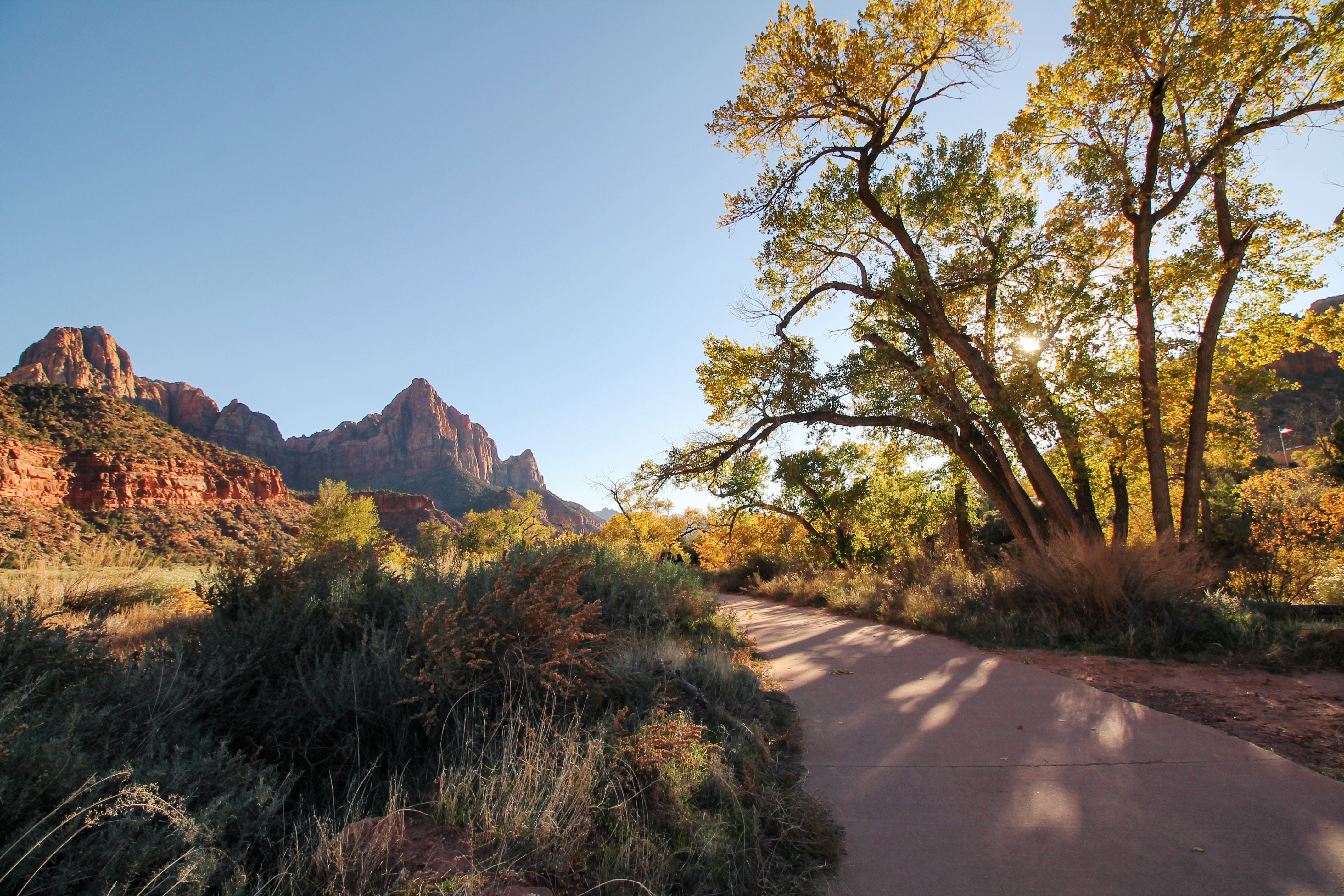 A view of Zion National Park - Credit: Natalie Tongprasearth